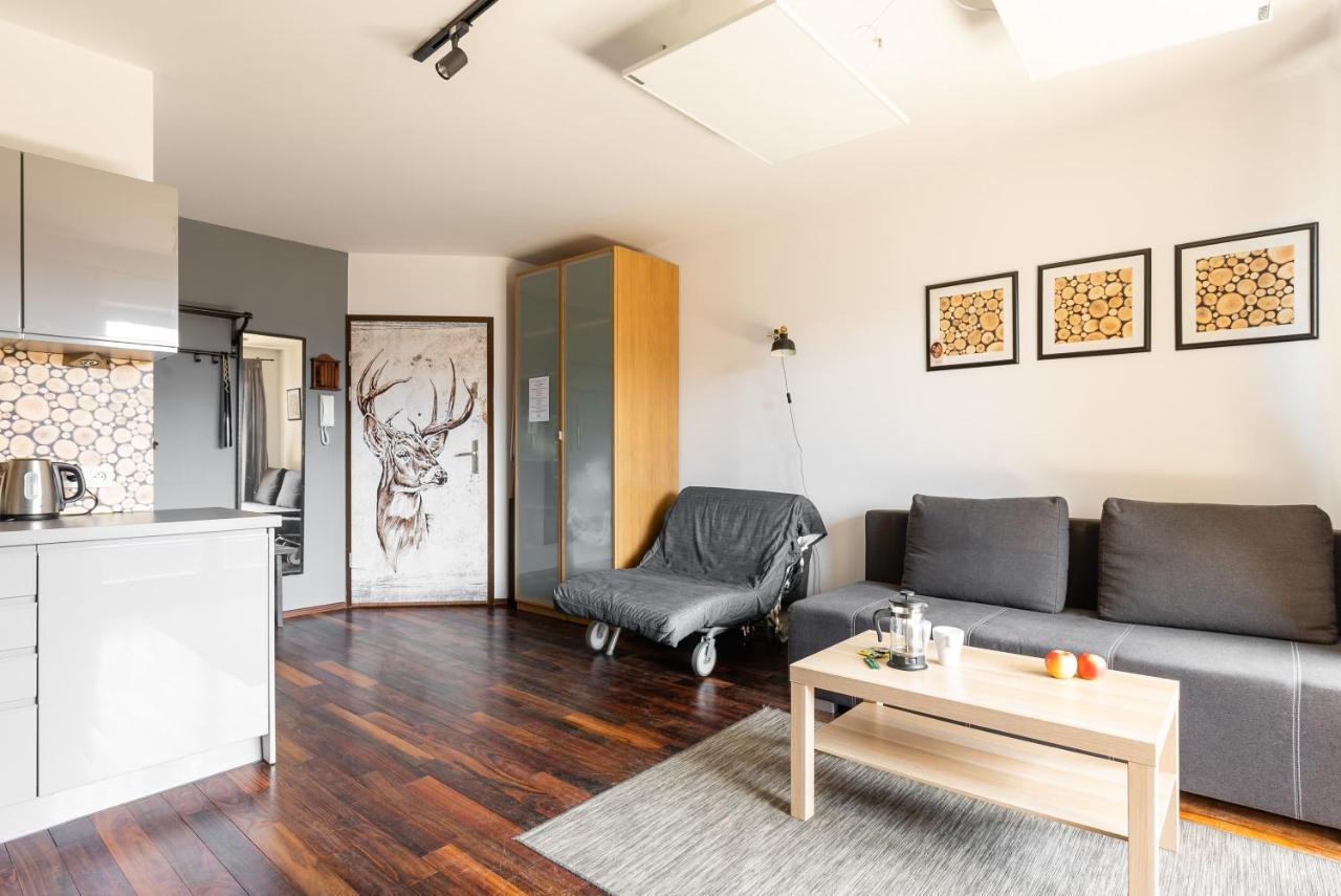 Apartamenty Kierpcowka 扎科帕内 外观 照片